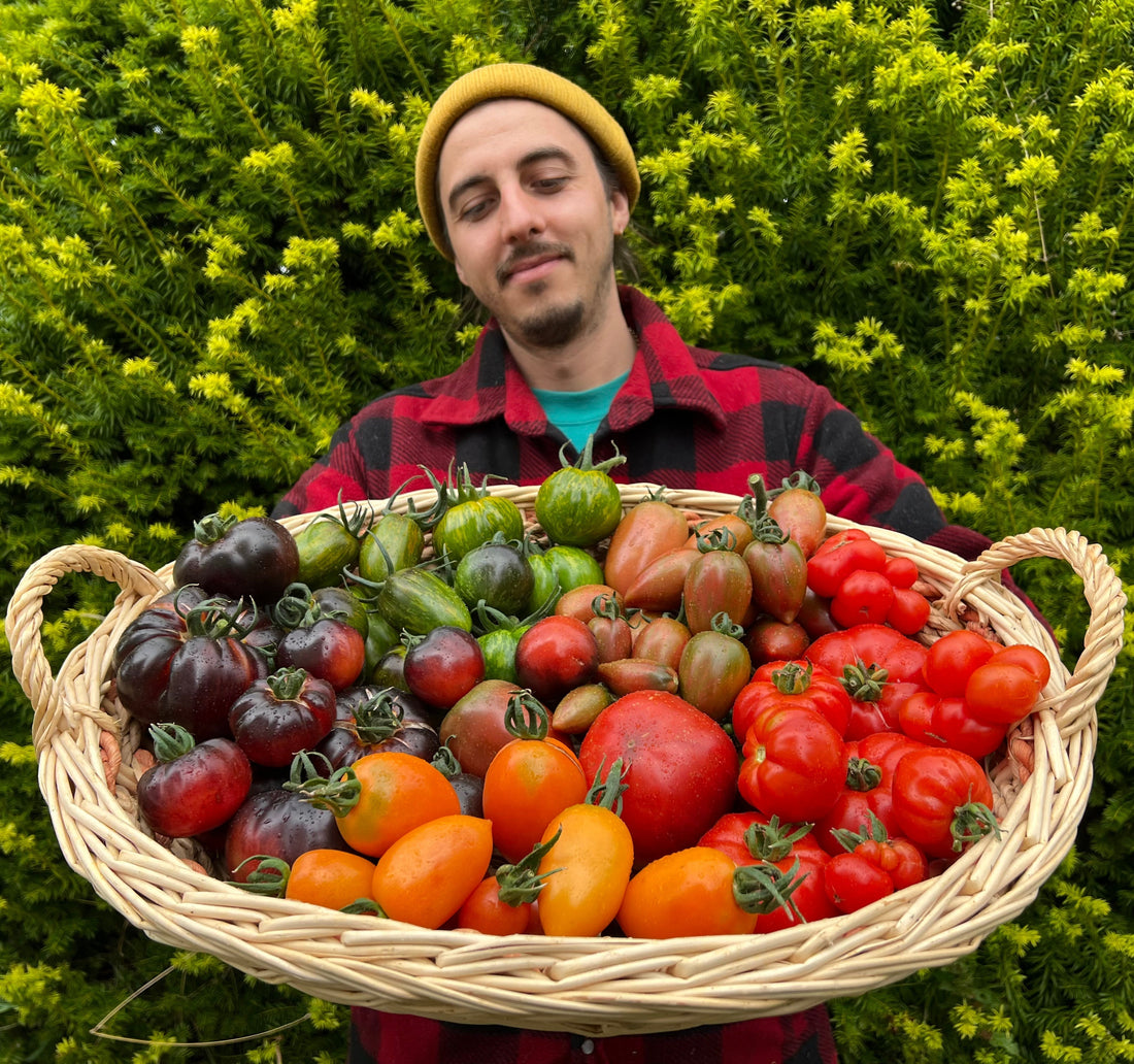 Why We Started: Seeds and Stories