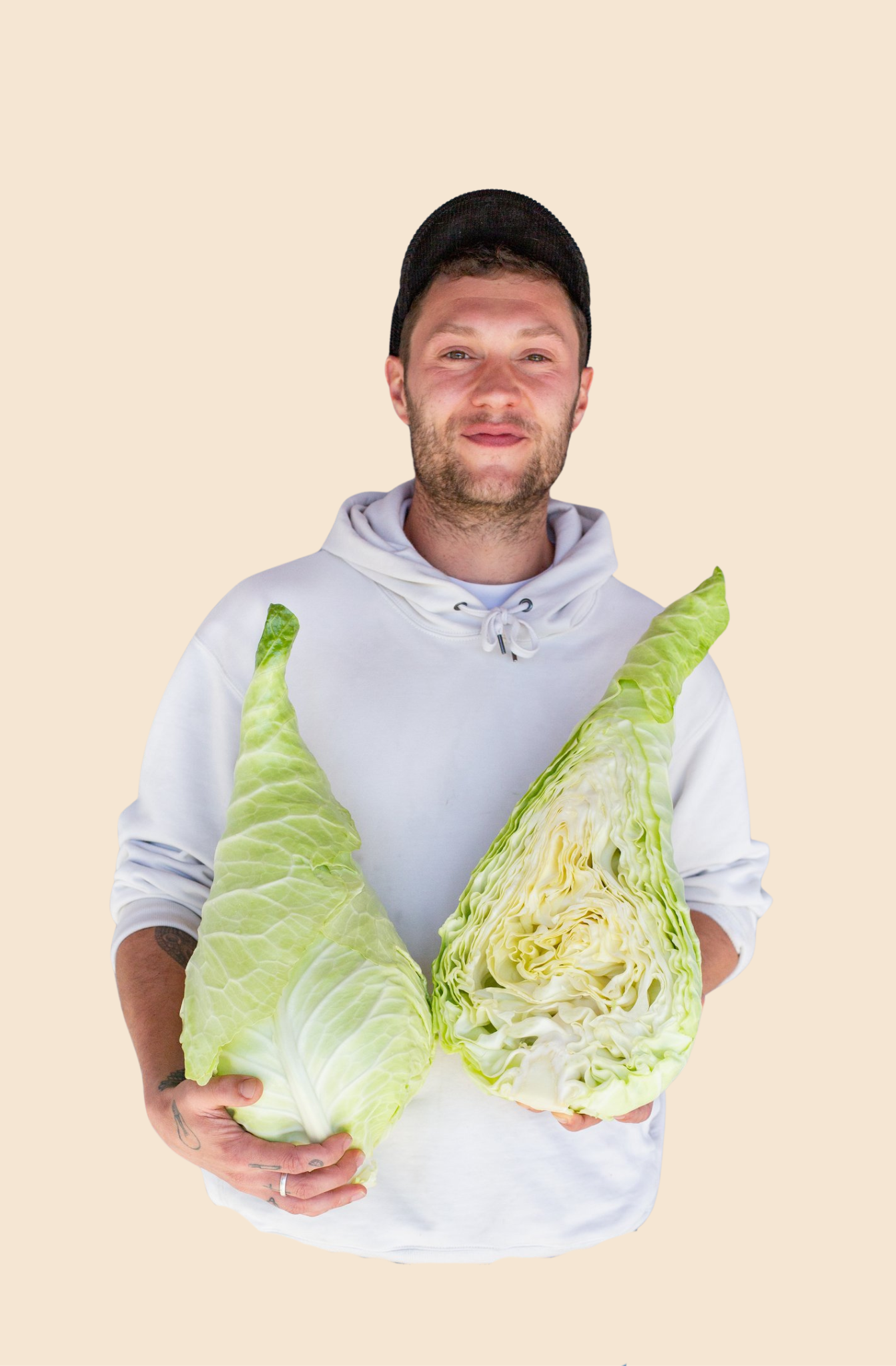 Cabbage