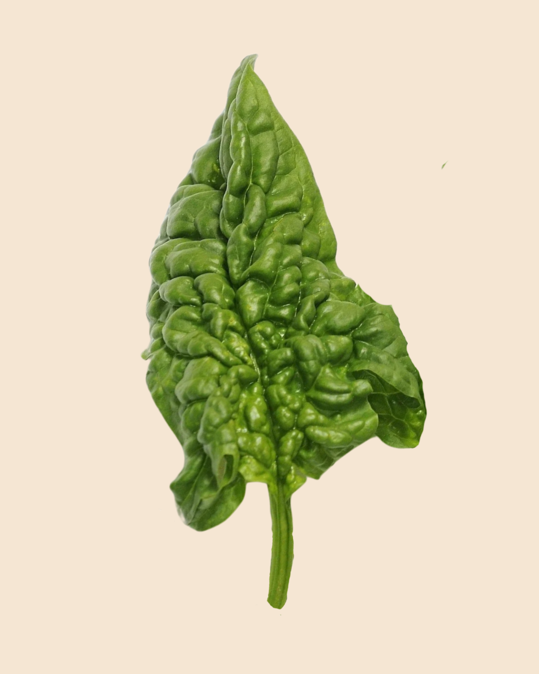 Spinach