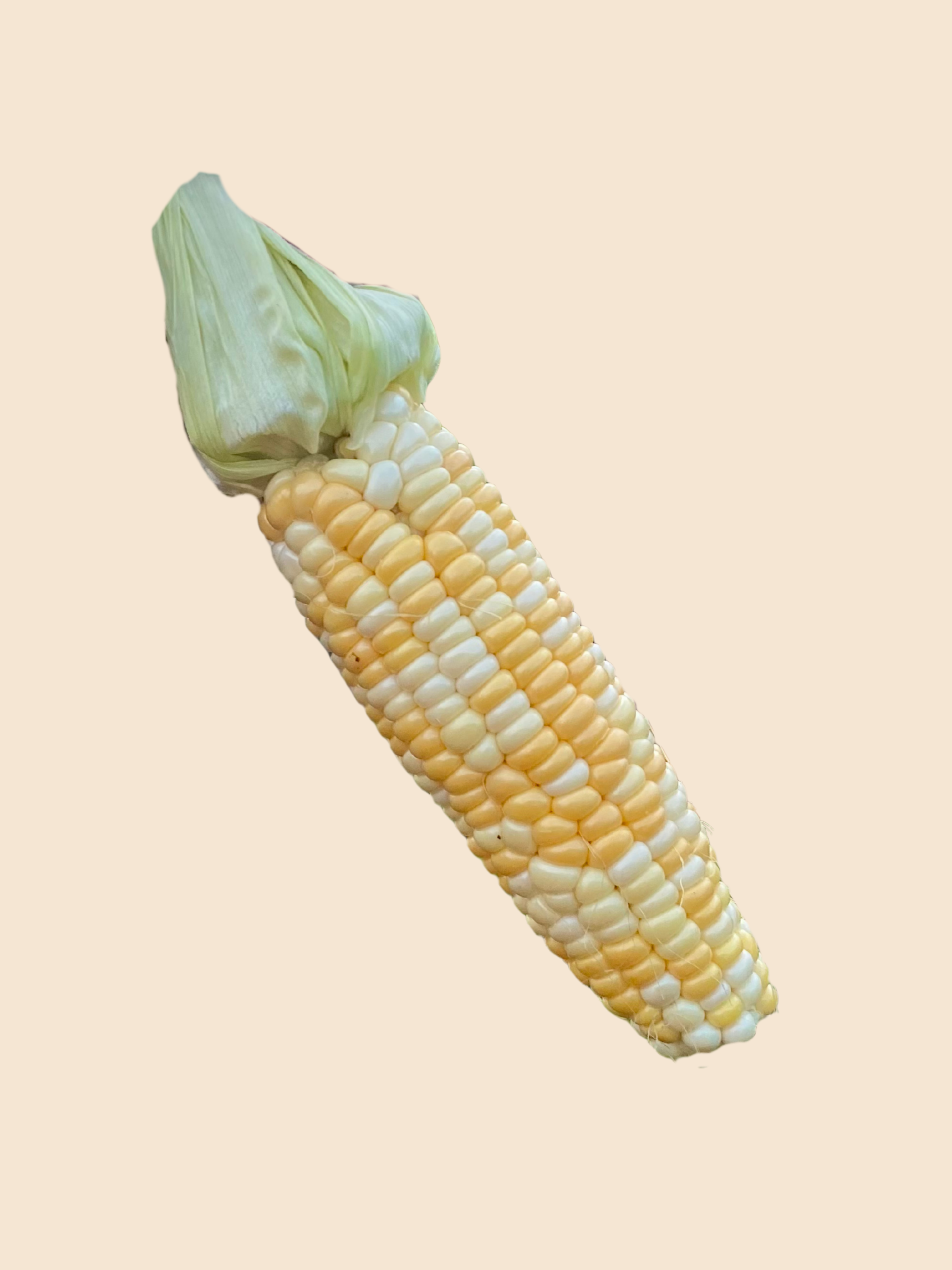 Double Standard Sweetcorn