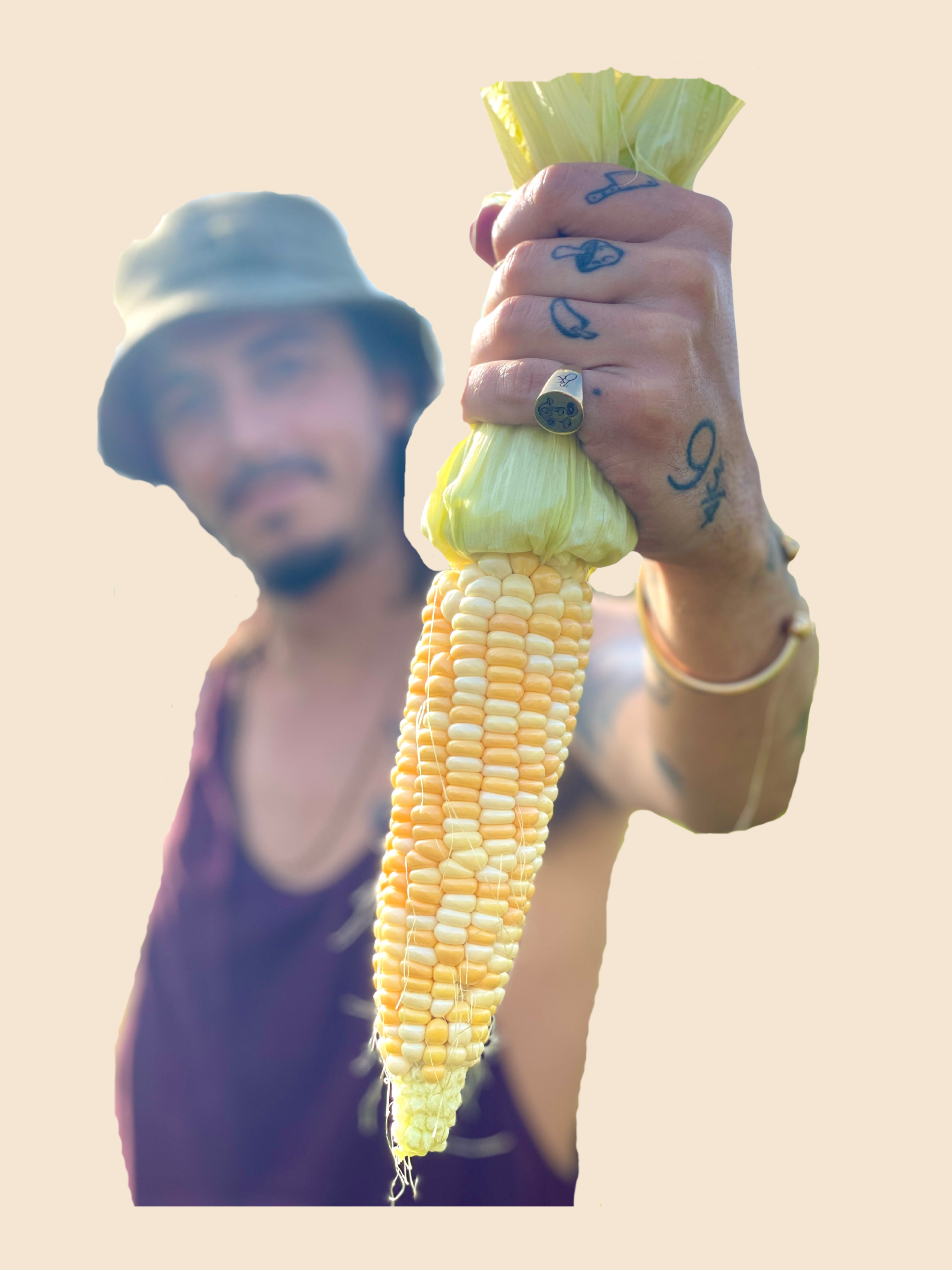 Double Standard Sweetcorn